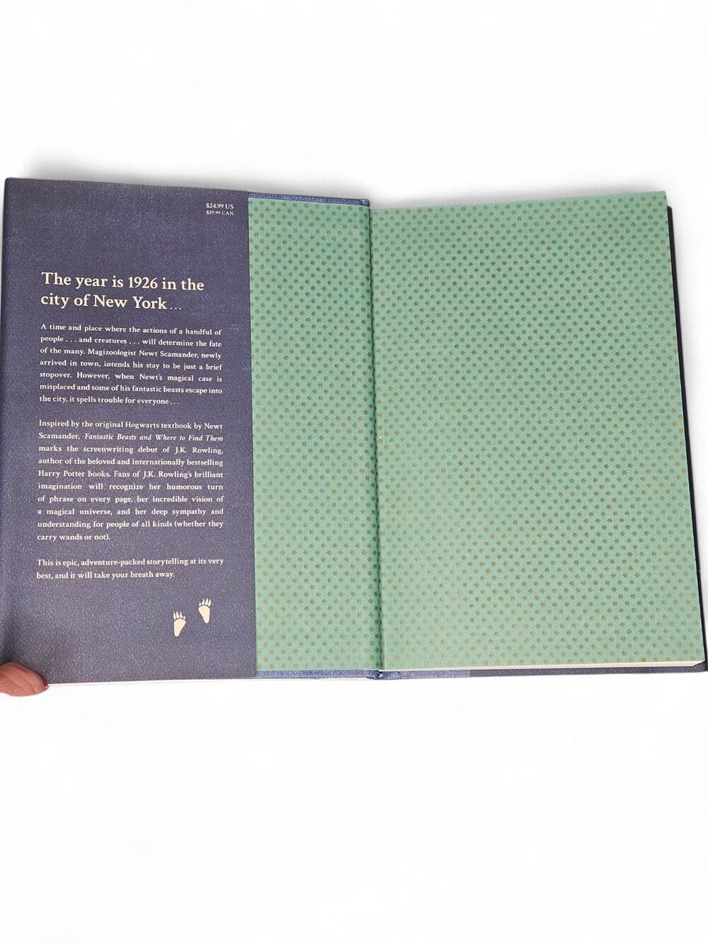 Fantastic Beasts Original Screenplay JK Rowling 1st Ed 1st Print HC 2016 - Picture 4 of 8